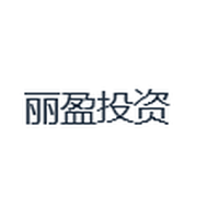 丽盈投资