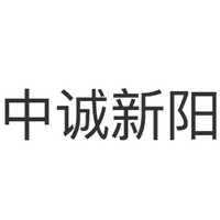中诚新阳资本