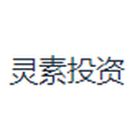 灵素投资