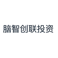 脑智创联投资