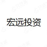 宏远投资_LOGO