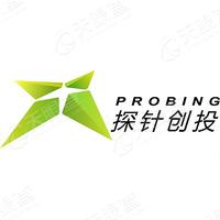 探针 LOGO