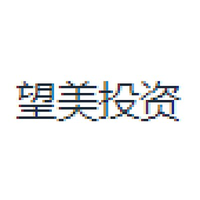 望美投资