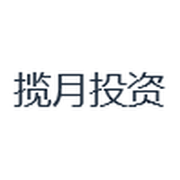 揽月投资