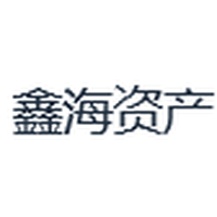 鑫海资产