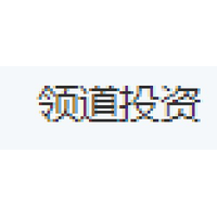 领道投资