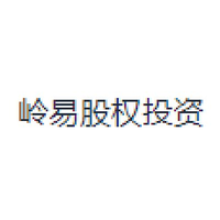岭易股权投资
