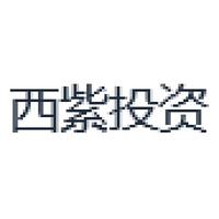西紫投资