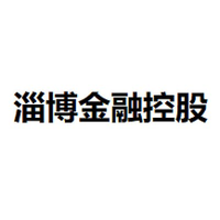 淄博金融控股