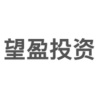 望盈投资