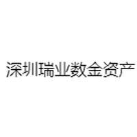 深圳瑞业数金资产