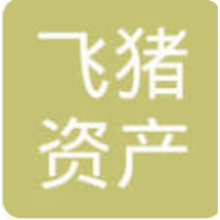 飞猪资本