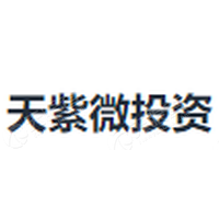 天紫微投资 LOGO