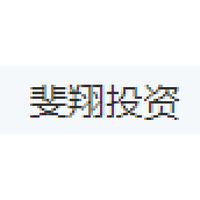 斐翔投资