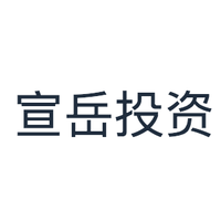 宣岳投资