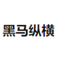黑马纵横
