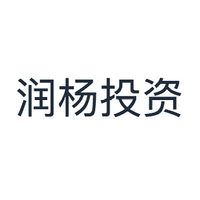 润杨投资