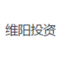 维阳投资