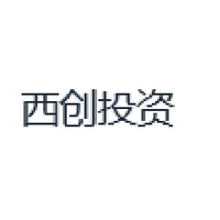 西创投资