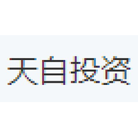 天自投资