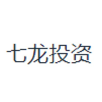 七龙投资