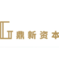 鼎新资本