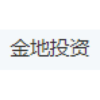 金地投资