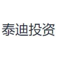 泰迪投资