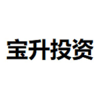 宝升投资