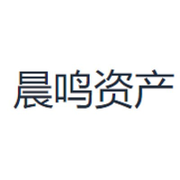 晨鸣资产