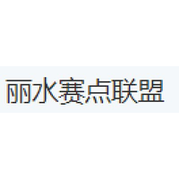 丽水赛点联盟