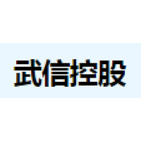 武信控股