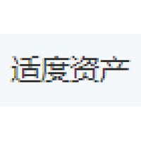 适度资产