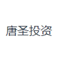 唐圣投资