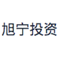 旭宁投资