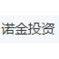 诺金投资
