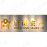 鼎源资产_LOGO