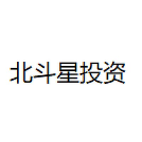 北斗星投资
