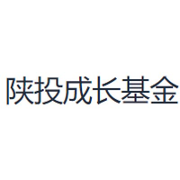 陕投成长基金