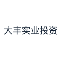 大丰实业投资