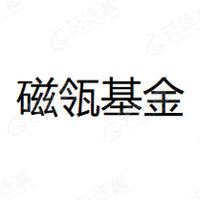 磁斯达克 LOGO