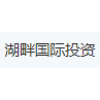 湖畔国际投资