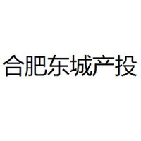合肥东城产投