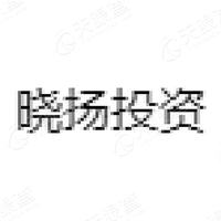晓扬科技投资_LOGO