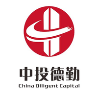 中投德勤投资