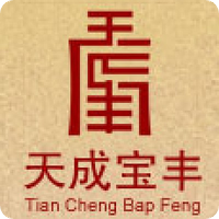 天成宝丰