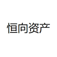 恒向资产