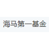 海马第一基金