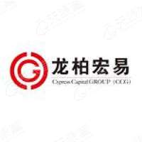 龙柏宏易资本 LOGO
