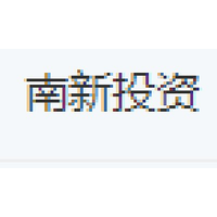 南新投资